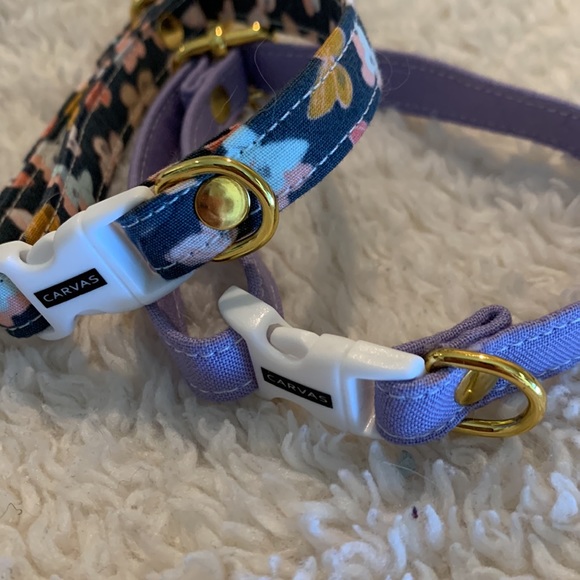 Dog cat collar and leash - Picture 3 of 7